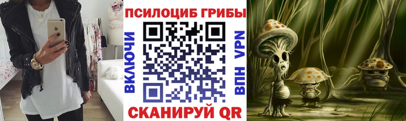 Псилоцибиновые грибы Magic Shrooms  где продают наркотики  Волгодонск 